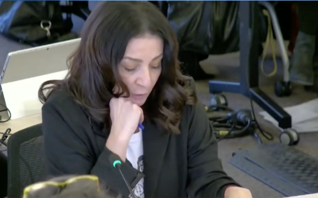 Conseil Municipal du 18 décembre 2023, délibération n°2-33859 Intervention de Mme Anouche Agobian, groupe GDES