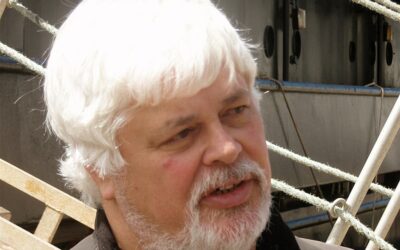 Asile politique pour Paul Watson !