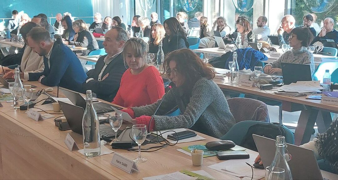 Budget 2025 de Grenoble ou la répétition des mêmes errements