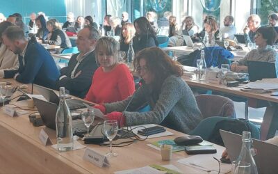 Budget 2025 de Grenoble ou la répétition des mêmes errements