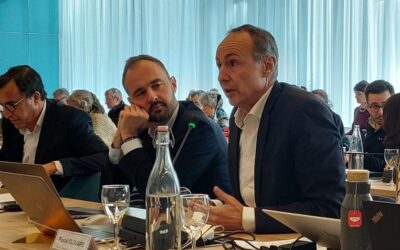 Stratégie de résilience territoriale : entre formules alambiquées et auto-congratulation 